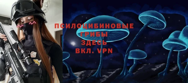 мяу мяу мука Белокуриха
