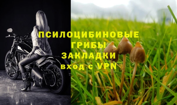 мяу мяу мука Белокуриха