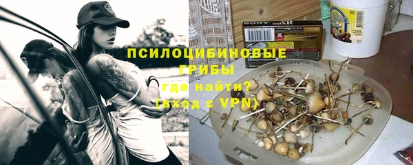 мяу мяу мука Белокуриха